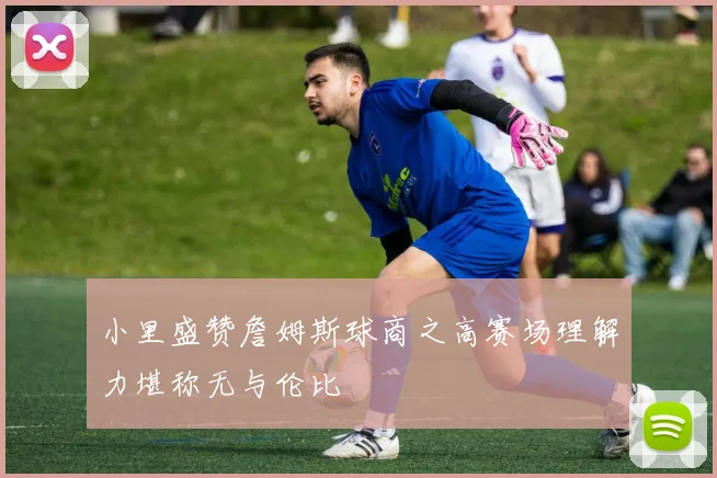 小里盛赞詹姆斯球商之高赛场理解力堪称无与伦比