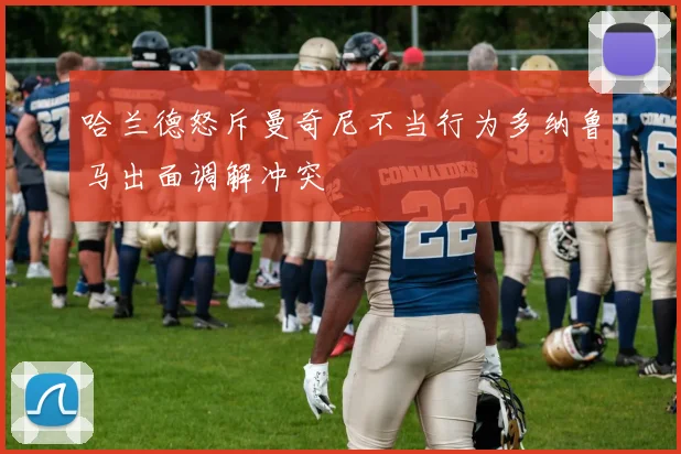 哈兰德怒斥曼奇尼不当行为多纳鲁马出面调解冲突